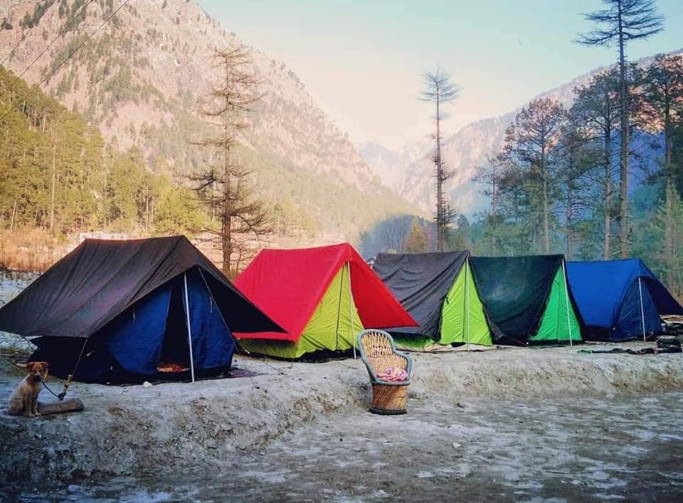 Stayhigh Camps & Cottages Kasol Exteriér fotografie