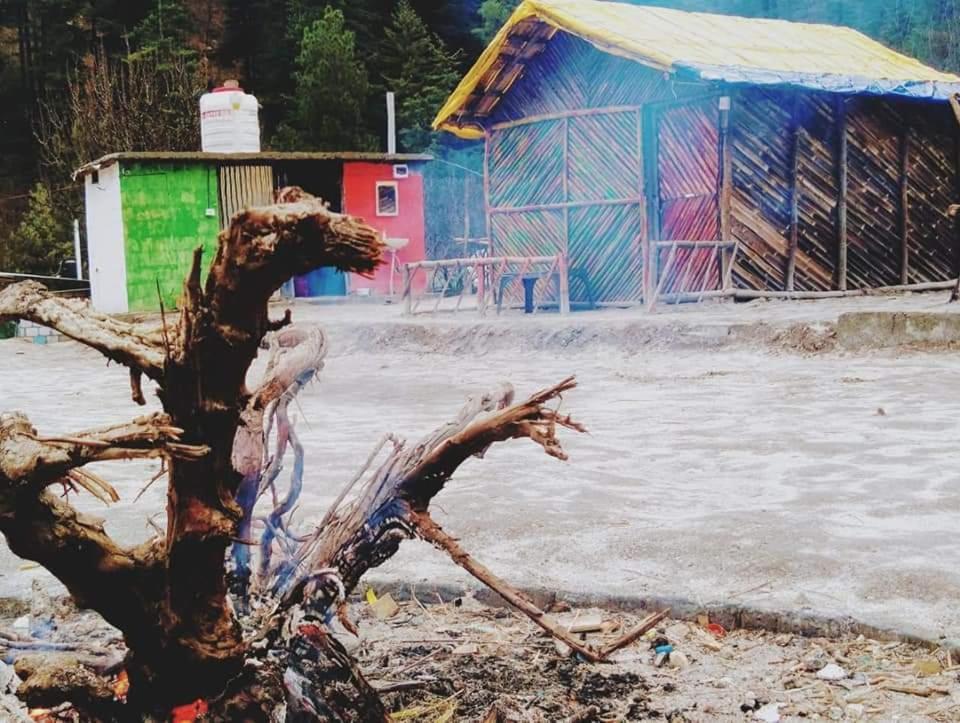 Stayhigh Camps & Cottages Kasol Exteriér fotografie