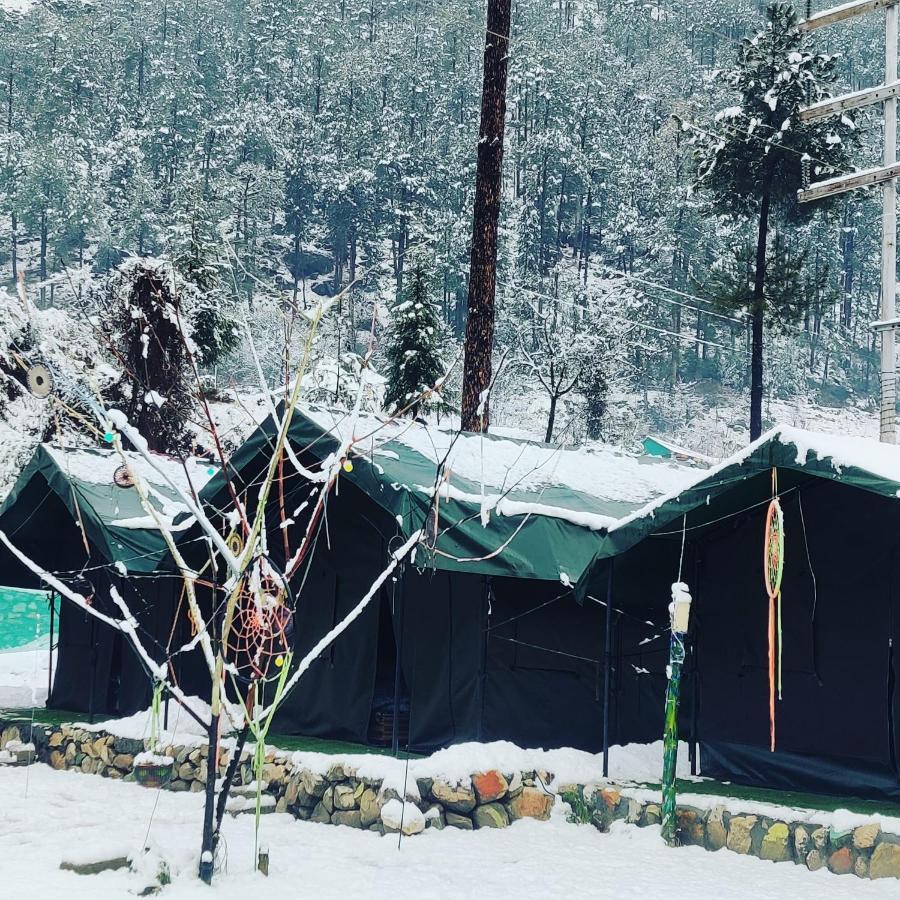 Stayhigh Camps & Cottages Kasol Exteriér fotografie