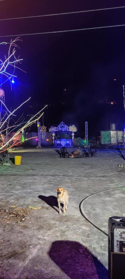 Stayhigh Camps & Cottages Kasol Exteriér fotografie